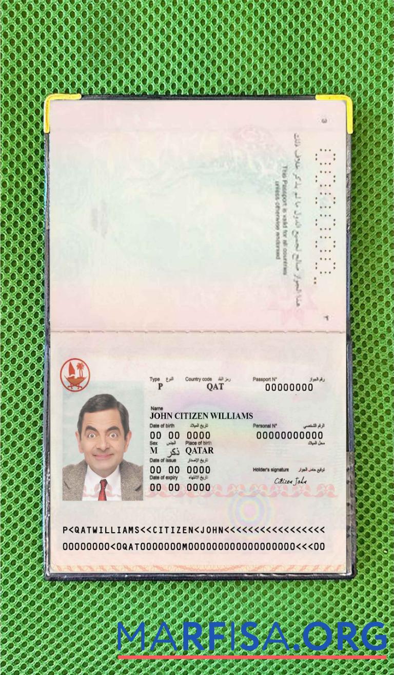 Printable Qatar passport photo look sample